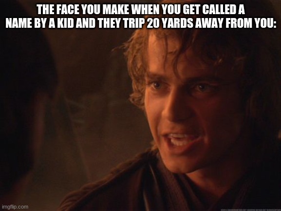 for a short period of time | THE FACE YOU MAKE WHEN YOU GET CALLED A NAME BY A KID AND THEY TRIP 20 YARDS AWAY FROM YOU: | image tagged in anakin unhinged,life sucks,star wars memes,anakin skywalker,star wars prequels,kids these days | made w/ Imgflip meme maker