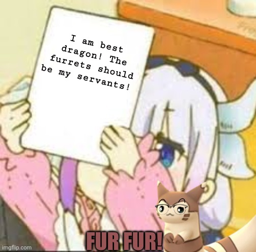 Kanna joins the furrets! | I am best dragon! The furrets should be my servants! FUR FUR! | image tagged in kanna holding a sign,kanna kamui,furret,pokemon,dragon,queen | made w/ Imgflip meme maker