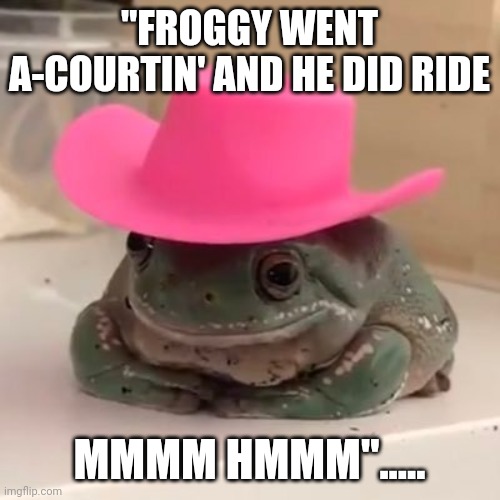Amphibian Dating | "FROGGY WENT A-COURTIN' AND HE DID RIDE; MMMM HMMM"..... | image tagged in funny,cute,western | made w/ Imgflip meme maker