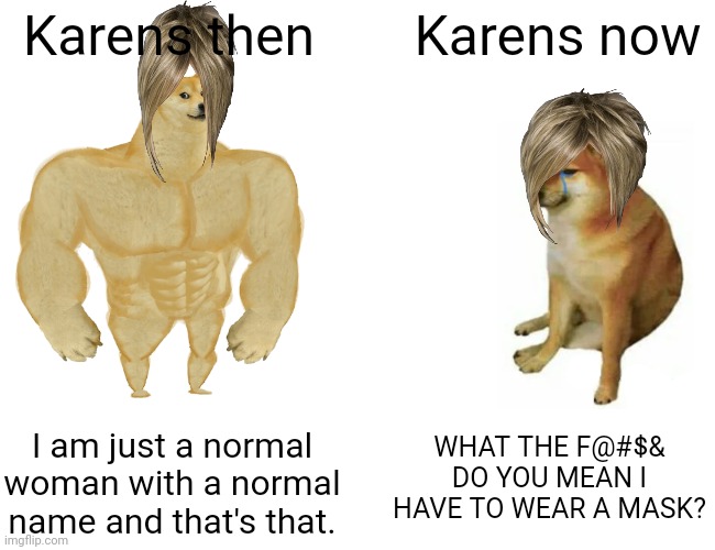 Buff Doge vs. Cheems | Karens then; Karens now; WHAT THE F@#$& DO YOU MEAN I HAVE TO WEAR A MASK? I am just a normal woman with a normal name and that's that. | image tagged in memes,buff doge vs cheems | made w/ Imgflip meme maker