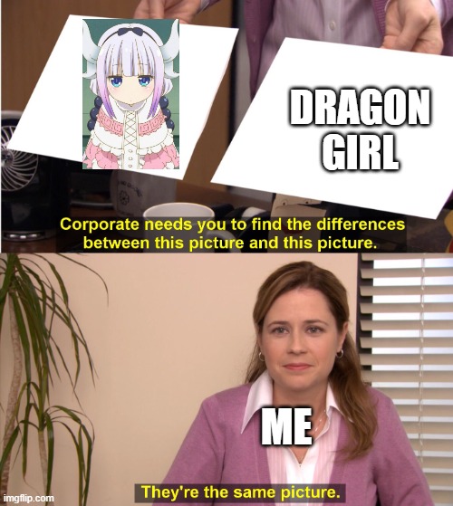 Miss Kobayashi Dragon Maid | DRAGON GIRL; ME | image tagged in there the same image | made w/ Imgflip meme maker