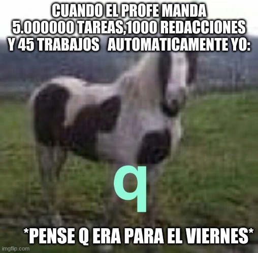 Caballo fachero | CUANDO EL PROFE MANDA 5.000000 TAREAS,1000 REDACCIONES Y 45 TRABAJOS   AUTOMATICAMENTE YO:; *PENSE Q ERA PARA EL VIERNES* | image tagged in memes,shitpost | made w/ Imgflip meme maker