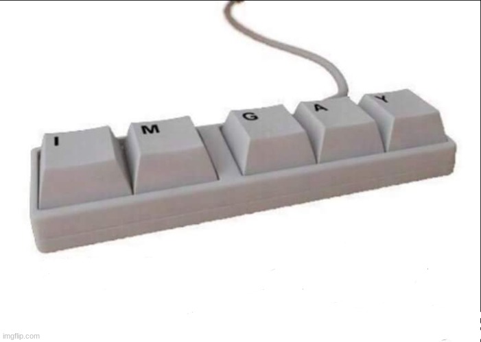 im gay keyboard | image tagged in im gay keyboard | made w/ Imgflip meme maker