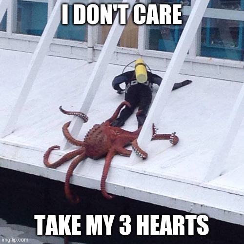 octopus | I DON'T CARE TAKE MY 3 HEARTS | image tagged in octopus | made w/ Imgflip meme maker