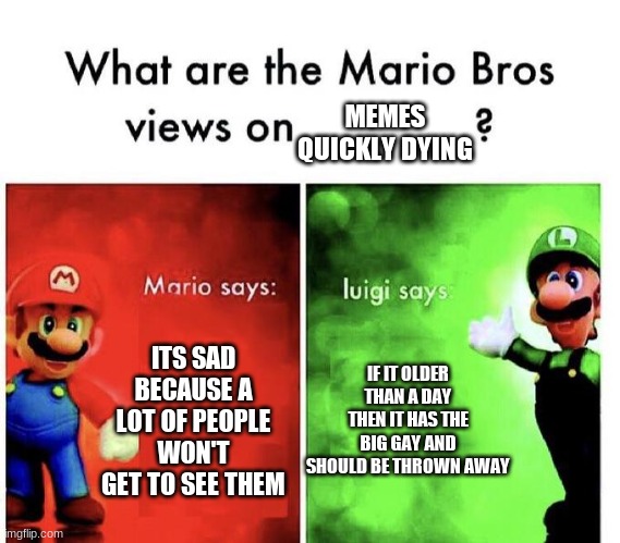 Mario Bros Views | MEMES QUICKLY DYING; IF IT OLDER THAN A DAY THEN IT HAS THE BIG GAY AND SHOULD BE THROWN AWAY; ITS SAD BECAUSE A LOT OF PEOPLE WON'T GET TO SEE THEM | image tagged in mario bros views | made w/ Imgflip meme maker