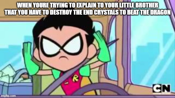 WHEN YOURE TRYING TO EXPLAIN TO YOUR LITTLE BROTHER THAT YOU HAVE TO DESTROY THE END CRYSTALS TO BEAT THE DRAGON | image tagged in robin | made w/ Imgflip meme maker