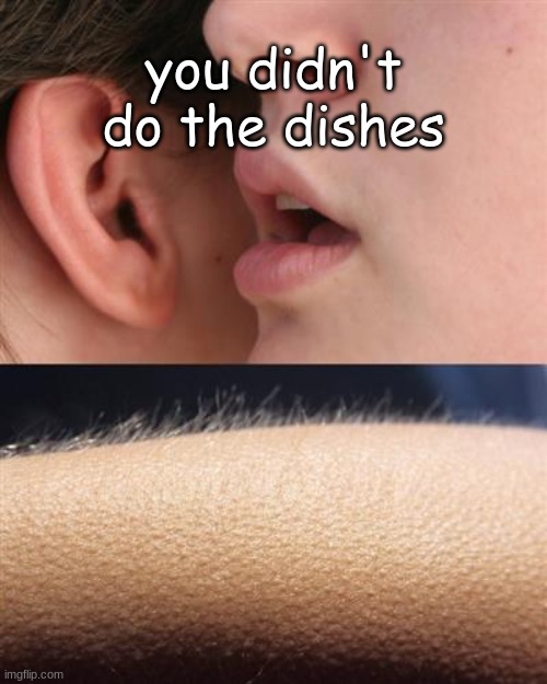 Whisper goose bumps | you didn't do the dishes | image tagged in whisper goose bumps | made w/ Imgflip meme maker