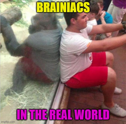 Mind. Blown. | BRAINIACS; IN THE REAL WORLD | image tagged in mind blown,wow,satisfying | made w/ Imgflip meme maker