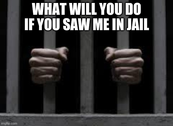 Jail | WHAT WILL YOU DO IF YOU SAW ME IN JAIL | image tagged in jail | made w/ Imgflip meme maker