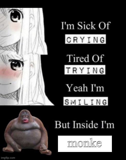 M O N K E | monke | image tagged in monke | made w/ Imgflip meme maker