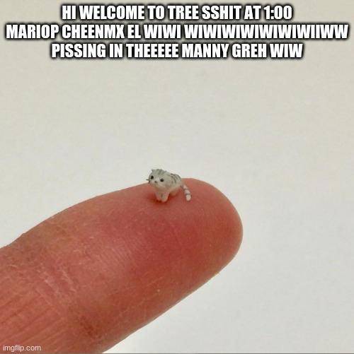 HI WELCOME TO TREE SSHIT AT 1:00 MARIOP CHEENMX EL WIWI WIWIWIWIWIWIWIIWW PISSING IN THEEEEE MANNY GREH WIW | made w/ Imgflip meme maker