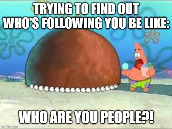 Thank you for 20 followers, guys! Wait... | TRYING TO FIND OUT WHO'S FOLLOWING YOU BE LIKE:; WHO ARE YOU PEOPLE?! | image tagged in who are you people | made w/ Imgflip meme maker