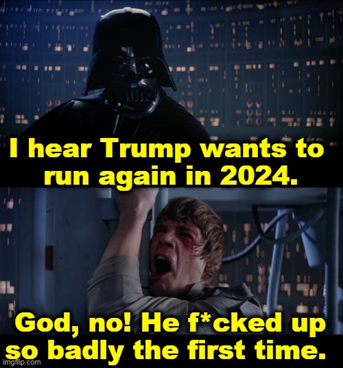 Nooooooo. | I hear Trump wants to 
run again in 2024. God, no! He f*cked up so badly the first time. | image tagged in memes,star wars no,trump,election,loser | made w/ Imgflip meme maker