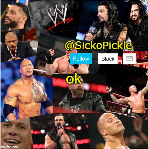 there you go sickopickle | ok | image tagged in sickopickle wwe template | made w/ Imgflip meme maker