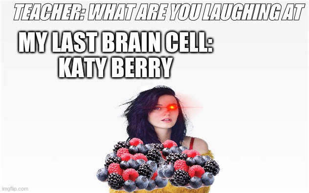 Katy Berry | TEACHER: WHAT ARE YOU LAUGHING AT; MY LAST BRAIN CELL:
KATY BERRY | image tagged in berry,katy,teacher what are you laughing at,memes | made w/ Imgflip meme maker