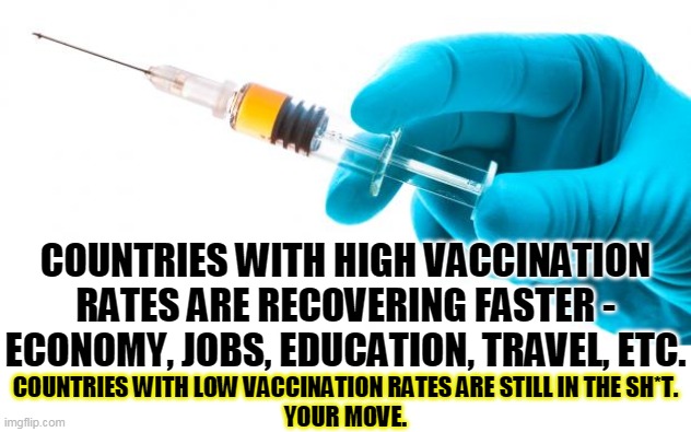 Vaccines are safe, effective and guaranteed to contain no microchips. | COUNTRIES WITH HIGH VACCINATION RATES ARE RECOVERING FASTER - ECONOMY, JOBS, EDUCATION, TRAVEL, ETC. COUNTRIES WITH LOW VACCINATION RATES ARE STILL IN THE SH*T.
YOUR MOVE. | image tagged in syringe vaccine medicine,vaccination,economy,prosperity,anti vax,stupid | made w/ Imgflip meme maker