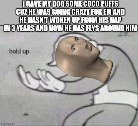 Fallout Hold Up | I GAVE MY DOG SOME COCO PUFFS CUZ HE WAS GOING CRAZY FOR EM AND HE HASN'T WOKEN UP FROM HIS NAP IN 3 YEARS AND NOW HE HAS FLYS AROUND HIM | image tagged in fallout hold up | made w/ Imgflip meme maker