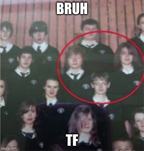 bruh idk but just bruh | BRUH; TF | image tagged in certified bruh moment | made w/ Imgflip meme maker