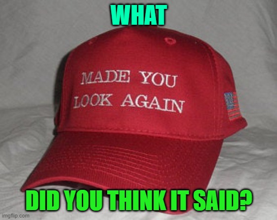 Made you look :) | WHAT; DID YOU THINK IT SAID? | image tagged in look again,now,do it,dew it,oh wow are you actually reading these tags | made w/ Imgflip meme maker