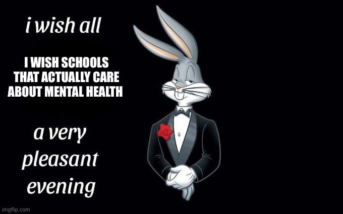 I wish all the X a very pleasant evening | I WISH SCHOOLS THAT ACTUALLY CARE ABOUT MENTAL HEALTH | image tagged in i wish all the x a very pleasant evening | made w/ Imgflip meme maker