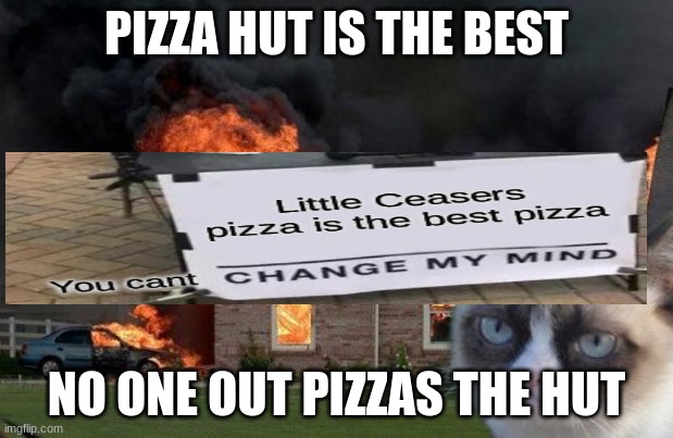 Burn Kitty Meme |  PIZZA HUT IS THE BEST; NO ONE OUT PIZZAS THE HUT | image tagged in memes,burn kitty,grumpy cat | made w/ Imgflip meme maker