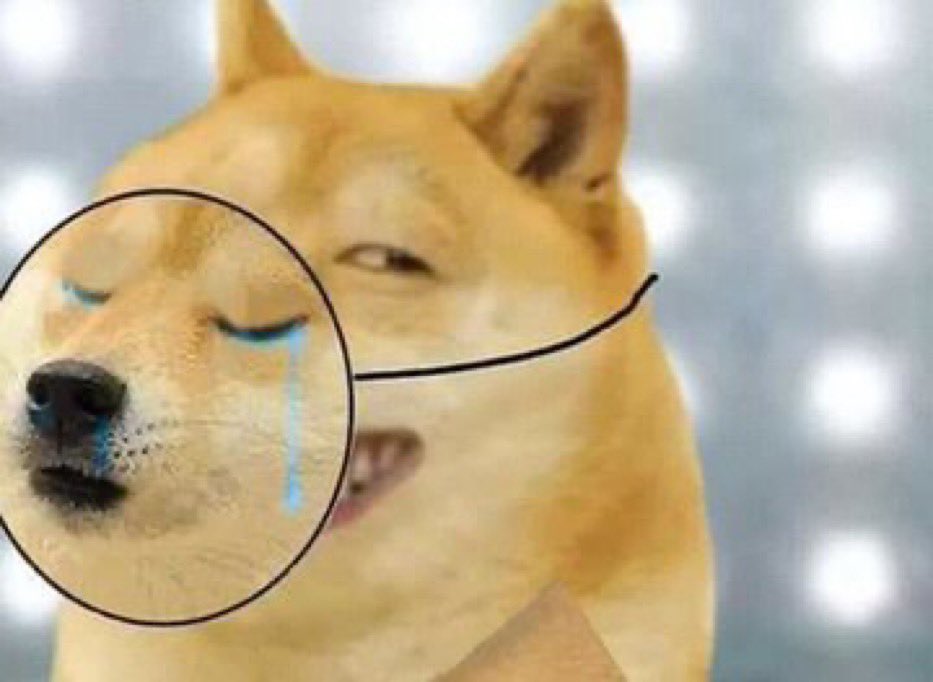 High Quality Doge Fake Crying Blank Meme Template