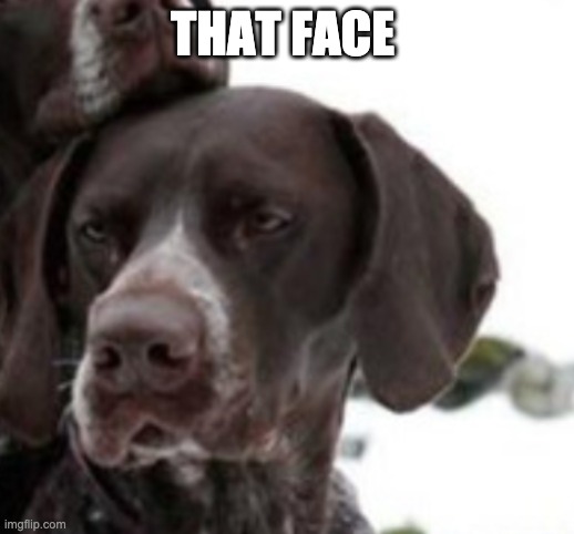 THAT FACE | made w/ Imgflip meme maker