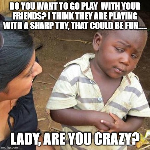 Are you crazy?! | DO YOU WANT TO GO PLAY  WITH YOUR FRIENDS? I THINK THEY ARE PLAYING WITH A SHARP TOY, THAT COULD BE FUN..... LADY, ARE YOU CRAZY? | image tagged in memes,third world skeptical kid | made w/ Imgflip meme maker