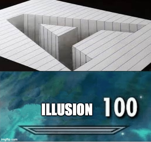 this is both cool and confusing | ILLUSION | image tagged in skyrim 100 blank,optical illusion,illusion 100,illusion | made w/ Imgflip meme maker