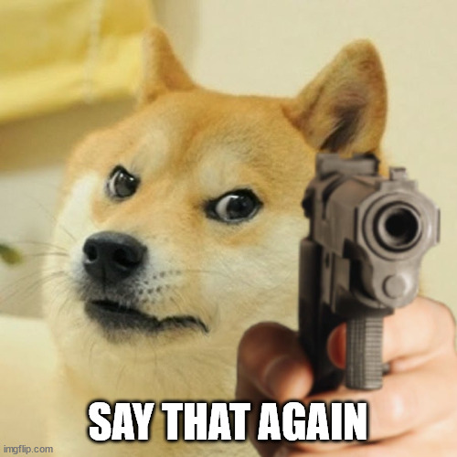Doge holding a gun | SAY THAT AGAIN | image tagged in doge holding a gun | made w/ Imgflip meme maker