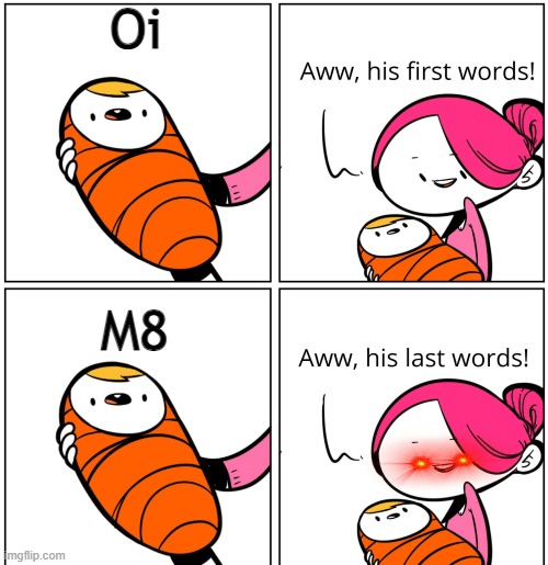 Oi m8 | A small comic | Oi; M8 | image tagged in aww his last words | made w/ Imgflip meme maker
