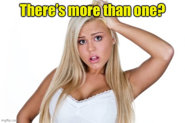 Dumb Blonde | There’s more than one? | image tagged in dumb blonde | made w/ Imgflip meme maker