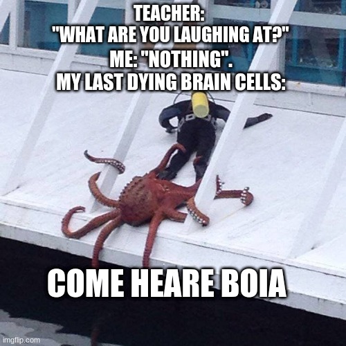 octopus | TEACHER: 
"WHAT ARE YOU LAUGHING AT?"; ME: "NOTHING".
MY LAST DYING BRAIN CELLS:; COME HEARE BOIA | image tagged in octopus | made w/ Imgflip meme maker