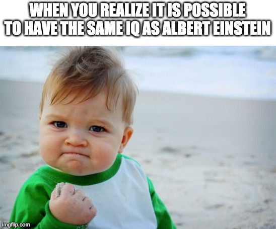 Success Kid Original Meme | WHEN YOU REALIZE IT IS POSSIBLE TO HAVE THE SAME IQ AS ALBERT EINSTEIN | image tagged in memes,success kid original | made w/ Imgflip meme maker