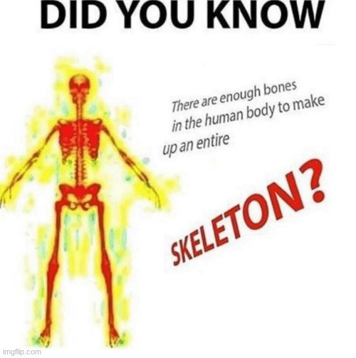 fundraiser | image tagged in skeleton | made w/ Imgflip meme maker