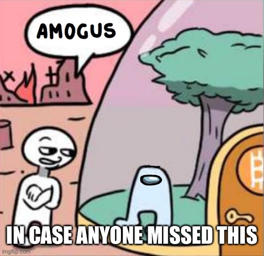 amogus | IN CASE ANYONE MISSED THIS | image tagged in amogus | made w/ Imgflip meme maker