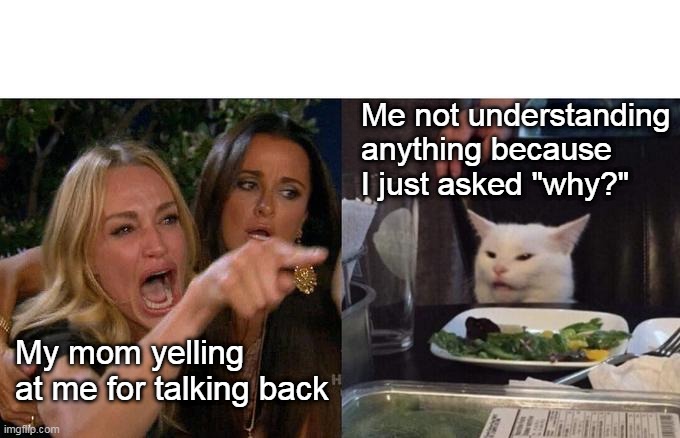 Woman Yelling At Cat | Me not understanding anything because I just asked "why?"; My mom yelling at me for talking back | image tagged in memes,woman yelling at cat | made w/ Imgflip meme maker