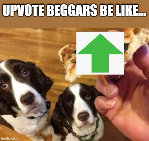 Upvote beggars be like... | UPVOTE BEGGARS BE LIKE... | image tagged in fighting upvote begging,meme,funny,dogs | made w/ Imgflip meme maker