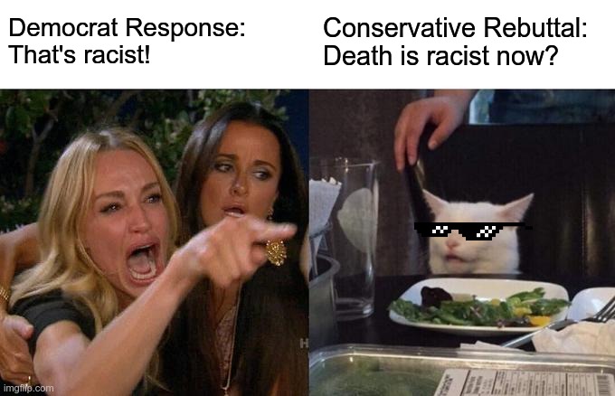 Woman Yelling At Cat Meme | Democrat Response:
That's racist! Conservative Rebuttal:
Death is racist now? | image tagged in memes,woman yelling at cat | made w/ Imgflip meme maker