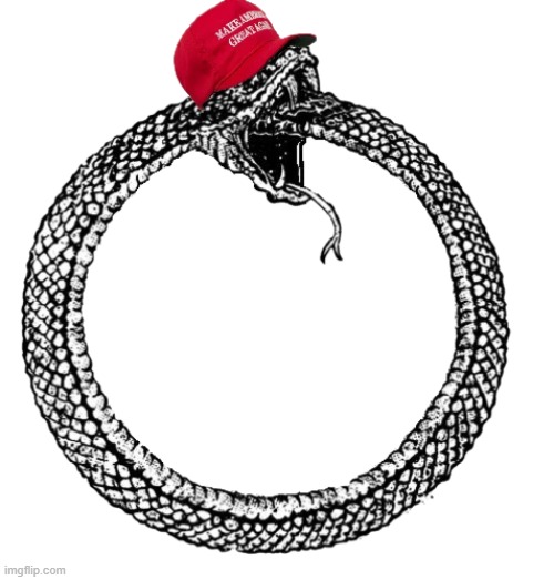 MAGA Ouroboros transparent | image tagged in maga ouroboros transparent | made w/ Imgflip meme maker