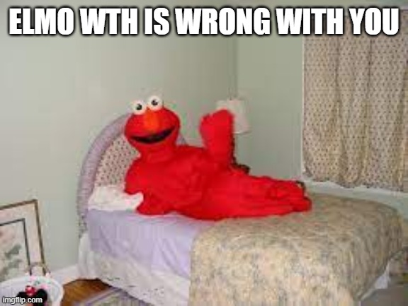 ELMO WTH IS WRONG WITH YOU | image tagged in elmo | made w/ Imgflip meme maker