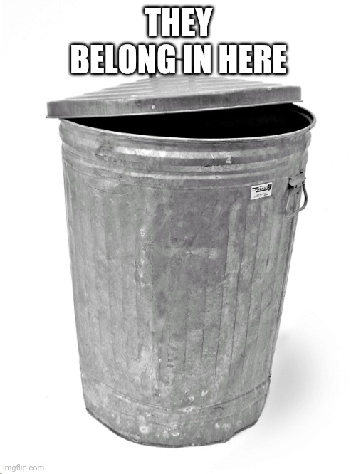 Trash Can | THEY BELONG IN HERE | image tagged in trash can | made w/ Imgflip meme maker