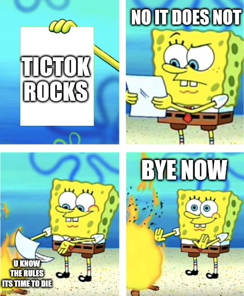 I hate tictok | NO IT DOES NOT; TICTOK ROCKS; BYE NOW; U KNOW THE RULES ITS TIME TO DIE | image tagged in spongebob burning paper | made w/ Imgflip meme maker