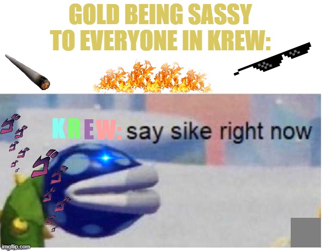 She Was The Chosen One | GOLD BEING SASSY TO EVERYONE IN KREW:; R; W:; E; K | image tagged in say sike right now | made w/ Imgflip meme maker