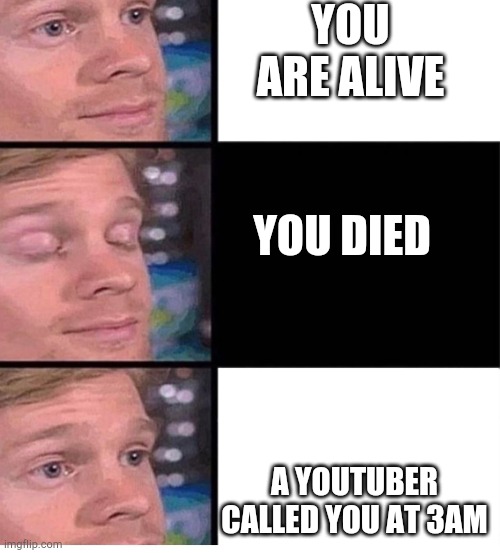 blinking guy vertical blank | YOU ARE ALIVE; YOU DIED; A YOUTUBER CALLED YOU AT 3AM | image tagged in blinking guy vertical blank | made w/ Imgflip meme maker