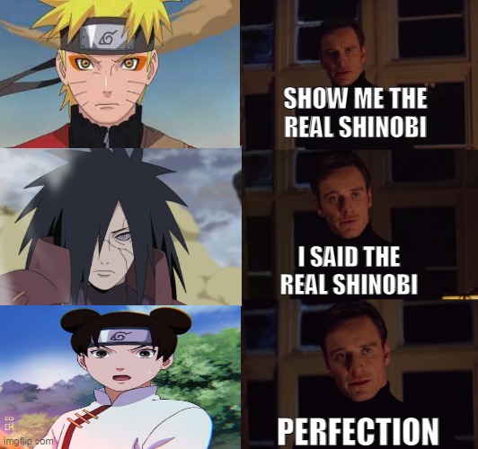 perfection | SHOW ME THE REAL SHINOBI; I SAID THE REAL SHINOBI; PERFECTION | image tagged in perfection | made w/ Imgflip meme maker