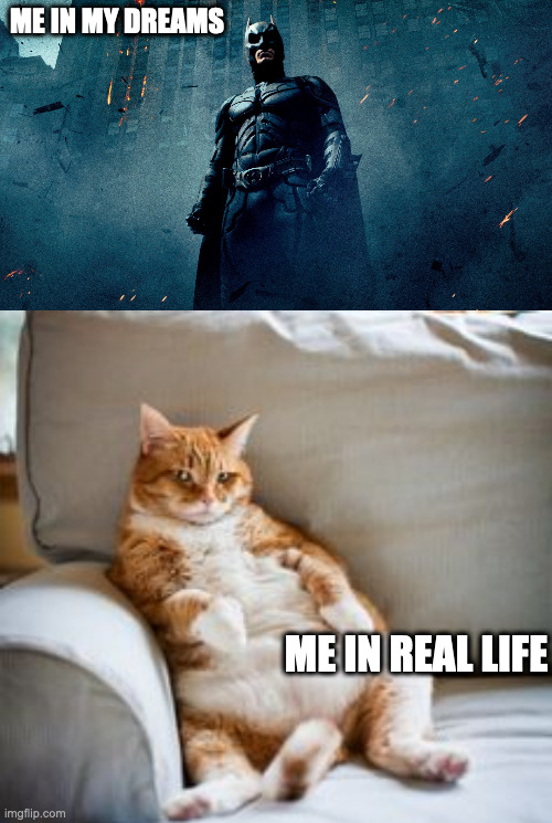 life of me | ME IN MY DREAMS; ME IN REAL LIFE | image tagged in batman hero,lazy cat,batman,lazy,cat,life | made w/ Imgflip meme maker