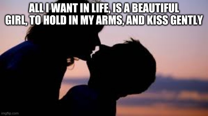 beautiful girl | ALL I WANT IN LIFE, IS A BEAUTIFUL GIRL, TO HOLD IN MY ARMS, AND KISS GENTLY | image tagged in idk girl | made w/ Imgflip meme maker