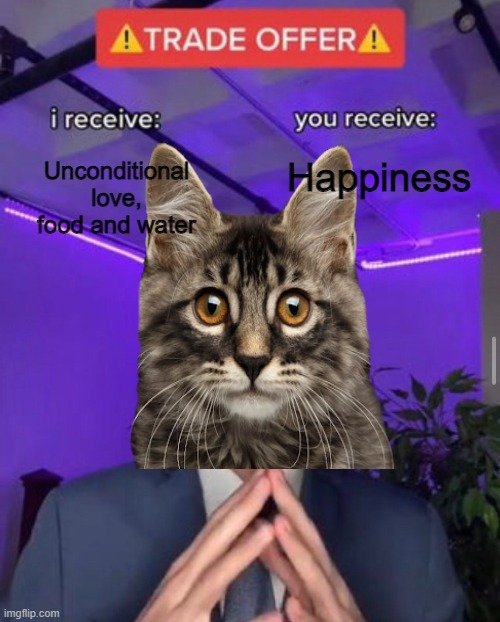 Meow | Happiness; Unconditional love, food and water | image tagged in trade offer | made w/ Imgflip meme maker