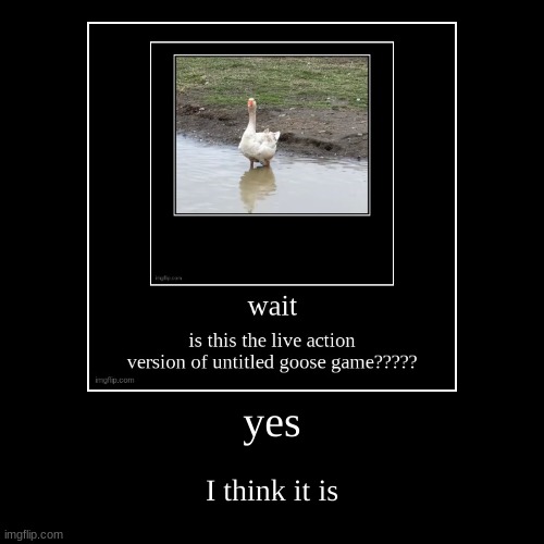 image tagged in funny,demotivationals | made w/ Imgflip demotivational maker